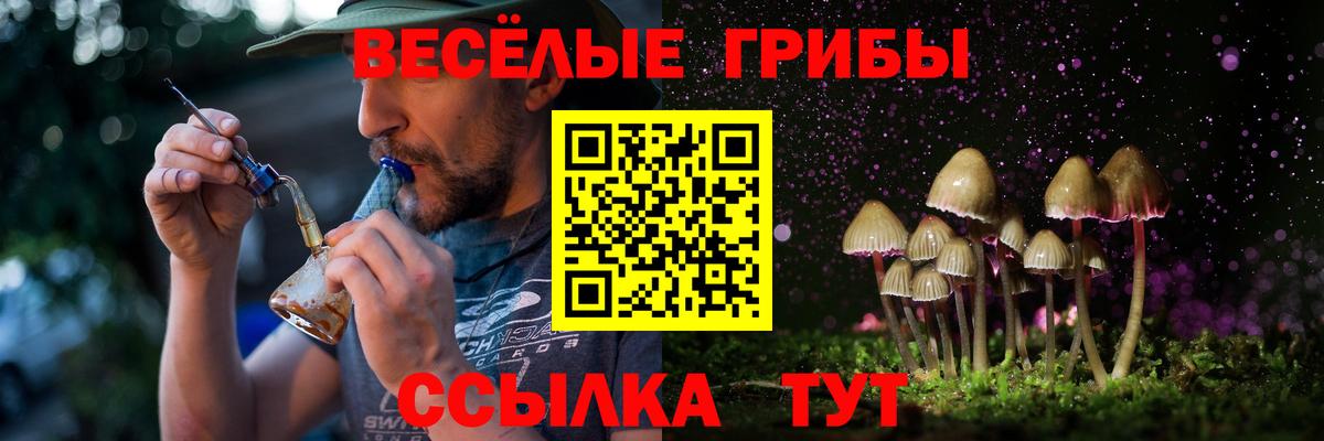 Гусиноозёрск  Галлюциногенные грибы ЛСД  Вход с VPN 
