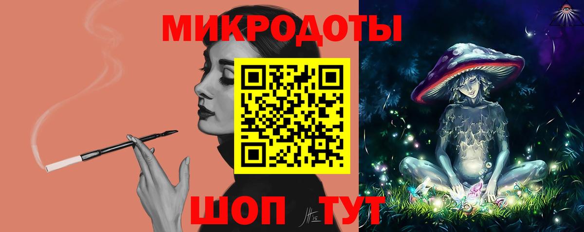 Псилоцибиновые грибы Psilocybe Гусиноозёрск